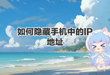 如何隐藏手机中的IP地址-保贝狗是一款个人信息保护产品。