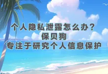个人隐私泄露怎么办?保贝狗,专注于研究个人信息保护-保贝狗是一款个人信息保护产品。