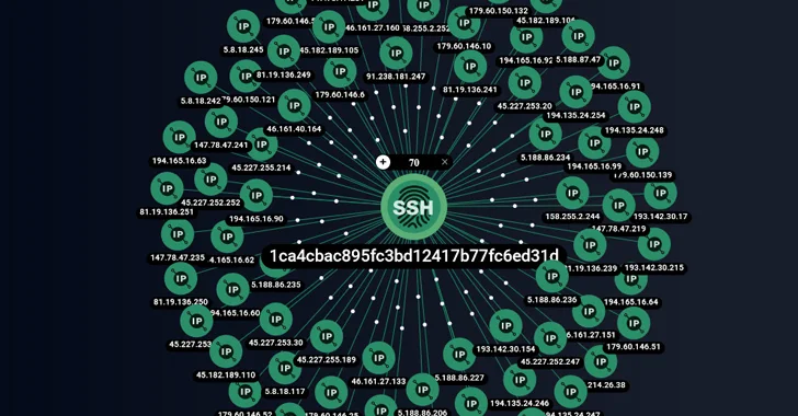 网络犯罪集团