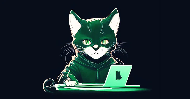 托迪猫